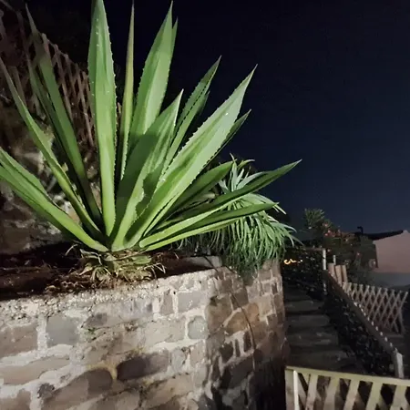 בית נופש De Bruma *