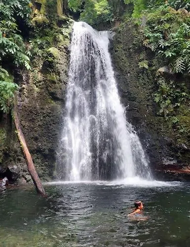 De Bruma 펜션 Faial da Terra