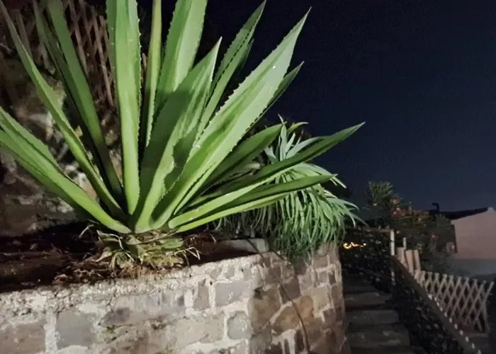 Holiday home De Bruma *